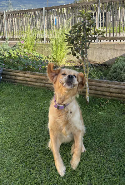 Polly und Lila am See